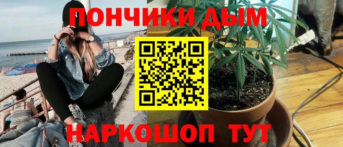 Шишки марихуана конопля  Конопля конопля  Вход с VPN  Белово 